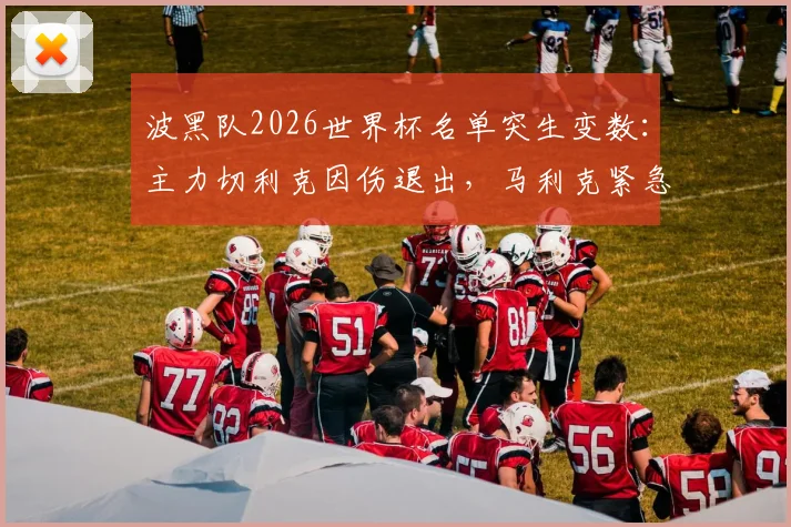 波黑队2026世界杯名单突生变数：主力切利克因伤退出，马利克紧急递补入选详情