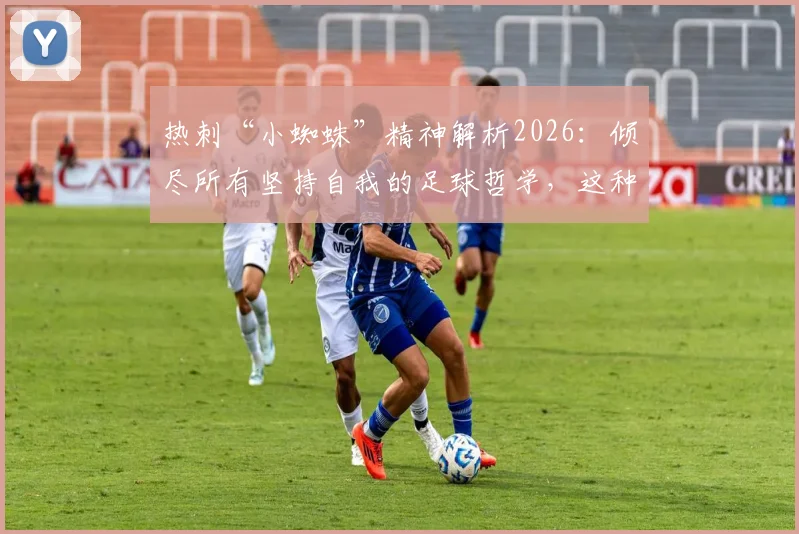 热刺“小蜘蛛”精神解析2026：倾尽所有坚持自我的足球哲学，这种文化如何影响比赛