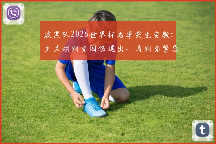 波黑队2026世界杯名单突生变数：主力切利克因伤退出，马利克紧急递补入选详情